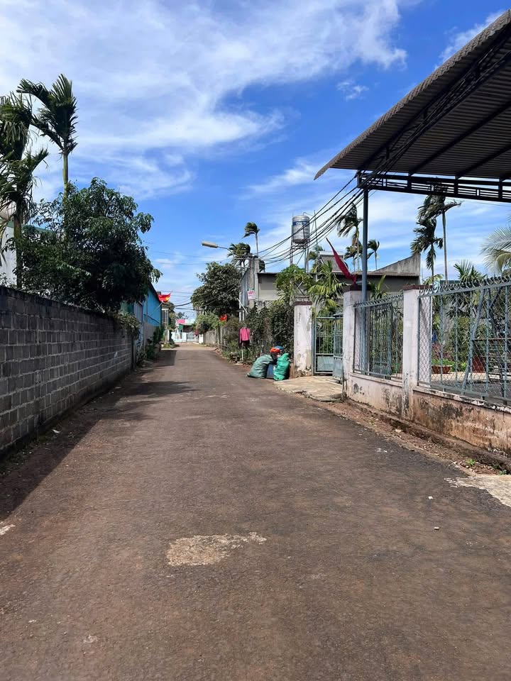 Đất chính chủ Tân Hòa, BMT 145m² giá 1.65 tỷ - Gần chợ Đầu Mối