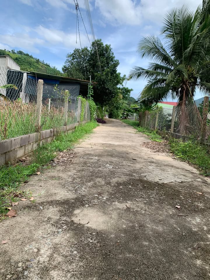 Đất nền Diên Tân, Diên Thọ 8200m² giá 200 triệu - Cơ hội đầu tư tuyệt vời!