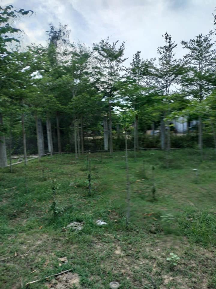 Đất nền Bà Nà 2000m² giá thương lượng - Đầu tư sinh lời hấp dẫn!