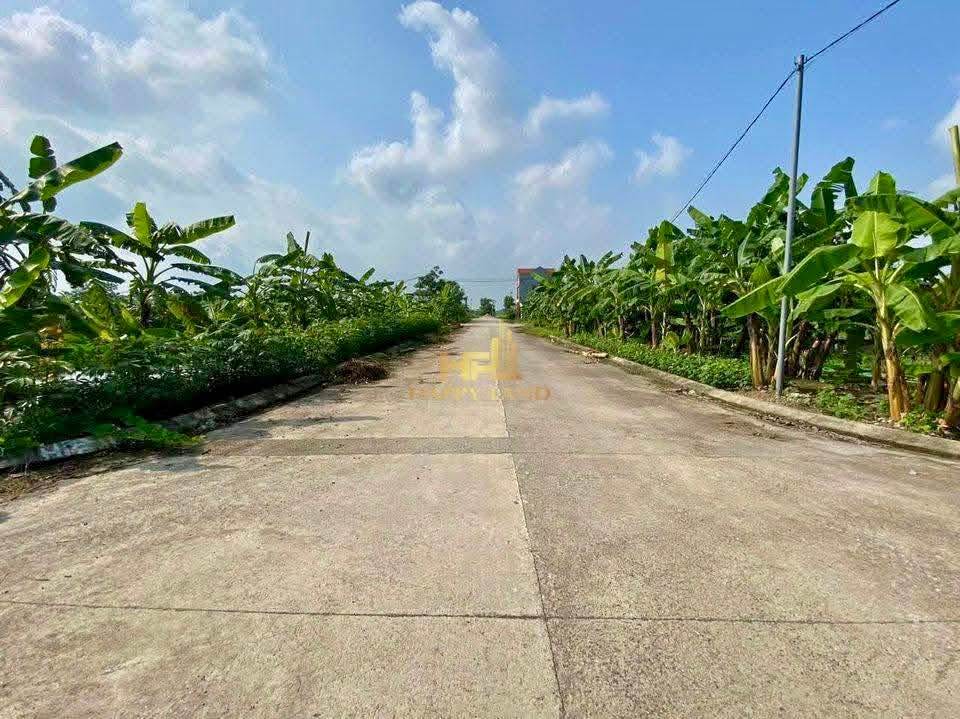 Đất nền Ninh Khang - Đồng Chằm 120m² giá 8 tỷ - Đầu tư siêu lợi nhuận!