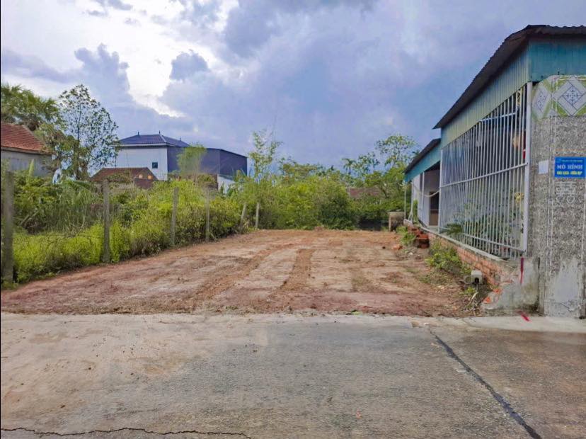 Đất thổ cư thôn Nam Bắc Thành, Cẩm Thành, 17.6m² giá 1 tỷ - Cơ hội đầu tư hấp dẫn!