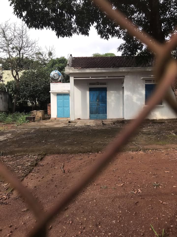 Nhà cho thuê đường Nguyễn Tuân, phường An Phú, Gia Lai - Sân rộng, giá chỉ 2 triệu!