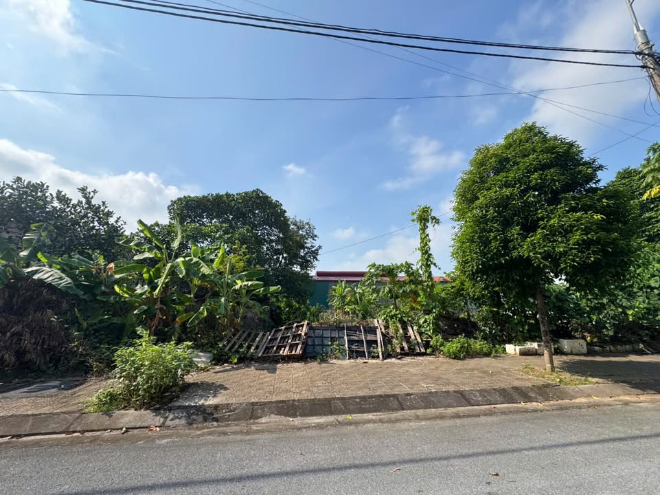 Đất nền Thượng Tổ, Thanh Châu 82m² giá đầu tư - Cơ hội tốt cho nhà đầu tư!