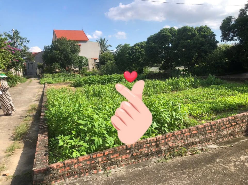 Lô đất 167,5m² tại xã Phú Hòa, Lương Tài - Cơ hội đầu tư hấp dẫn!