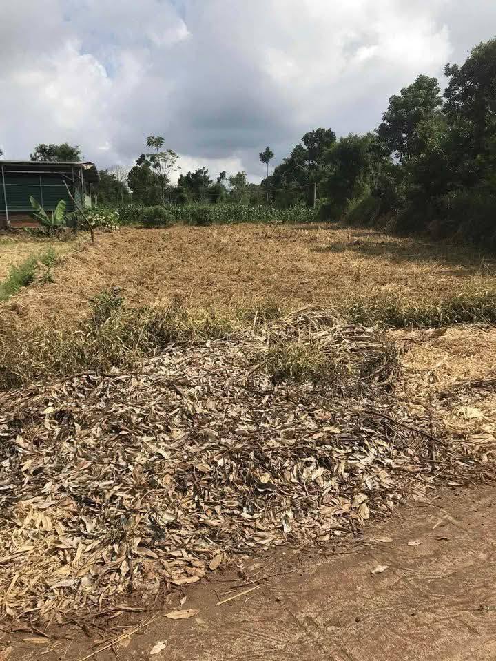 Lô đất thổ cư Quảng Phú, Cư M'gar 80m² giá 700 triệu - Nở hậu 21m, đầu tư lý tưởng!