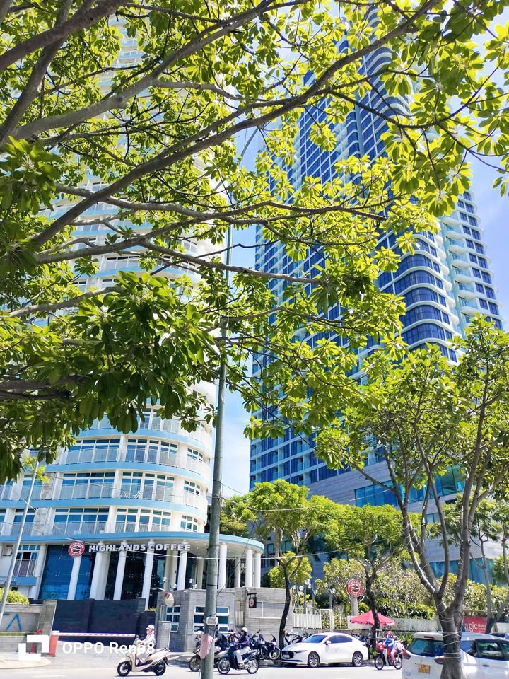 Lô góc biệt thự đường Trần Sâm 290m² giá 26,55 tỷ - Vị trí siêu đắc địa gần biển!