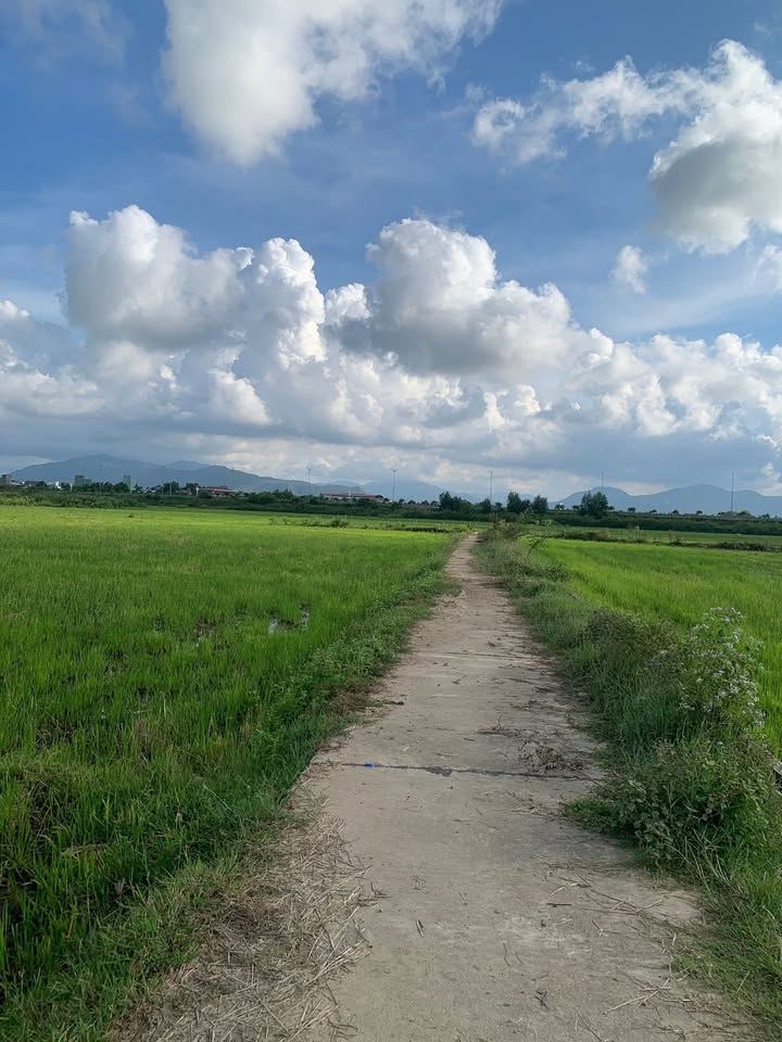 Đất nền Phước Nghĩa, Tuy Phước 720m² giá 720 triệu - Cơ hội đầu tư hấp dẫn!