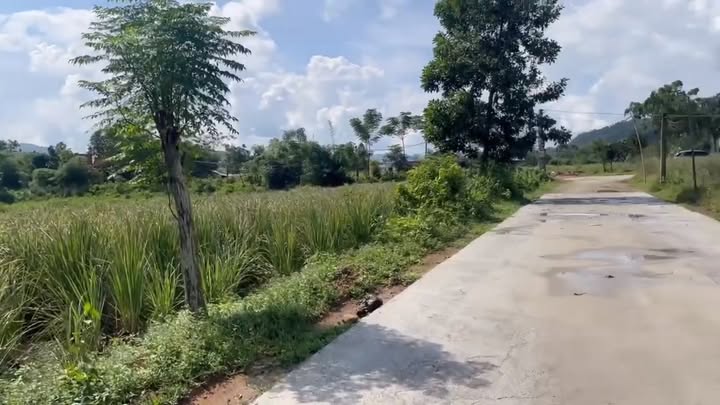 Đất nền dự án Lệ Cẩm 2 - Thạch Thành 150m² - Cơ hội đầu tư hấp dẫn!