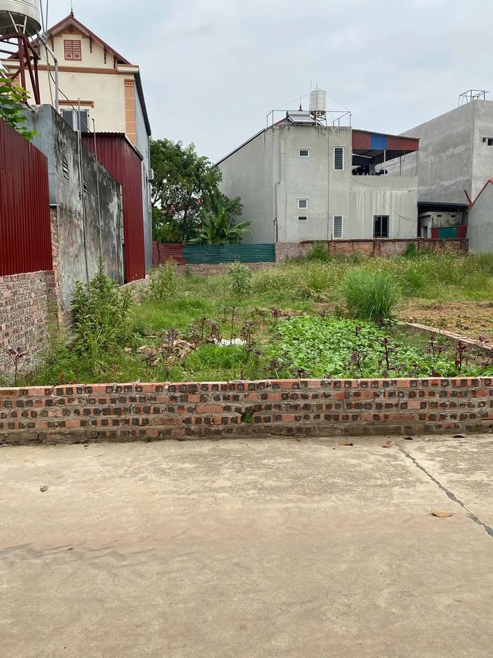 Đất nền Minh Trí - Sóc Sơn 145m² giá 3 tỷ - Tiềm năng phát triển lớn!