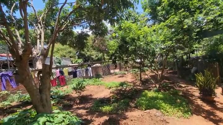 Nhà cấp 4 Mường Sang Mộc Châu 570m² giá thỏa thuận - Sổ đỏ chính chủ