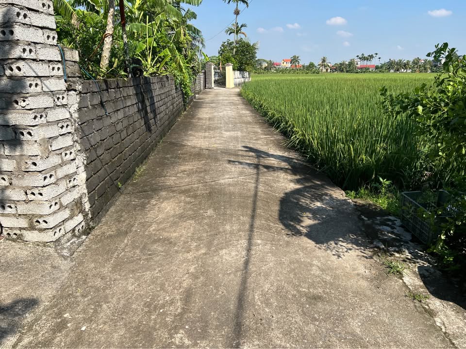 Lô đất Minh Tân Kiến Thụy 89.4m² giá 1.1 tỷ - Cơ hội đầu tư hấp dẫn!