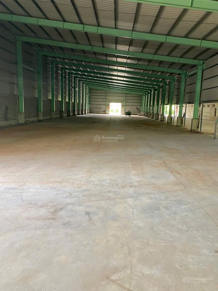 Cho thuê kho xưởng 13.000m² tại Phước Hải - Vị trí đắc địa gần cảng Cái Mép