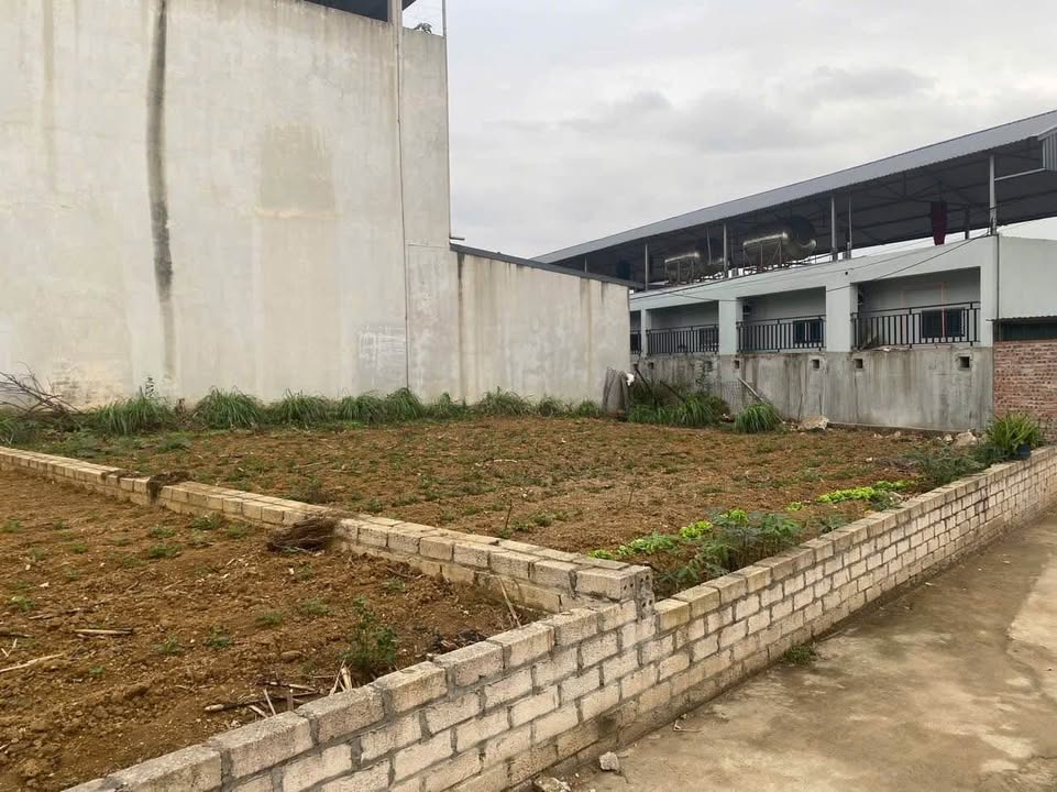 Đất Hạ Bằng Thạch Thất 90.8m² giá 3 tỷ - Tiềm năng đầu tư lớn!