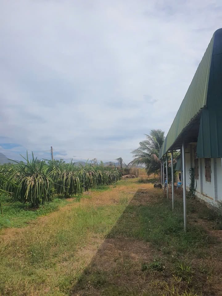 Đất nền Hàm Hiệp 1253m² giá 1.2 tỷ - Cơ hội đầu tư lý tưởng!