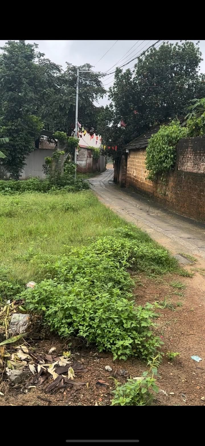 Đất nền phường Tùng Thiện - Sơn Tây 1150m² - Đầu tư sinh lời ngay!