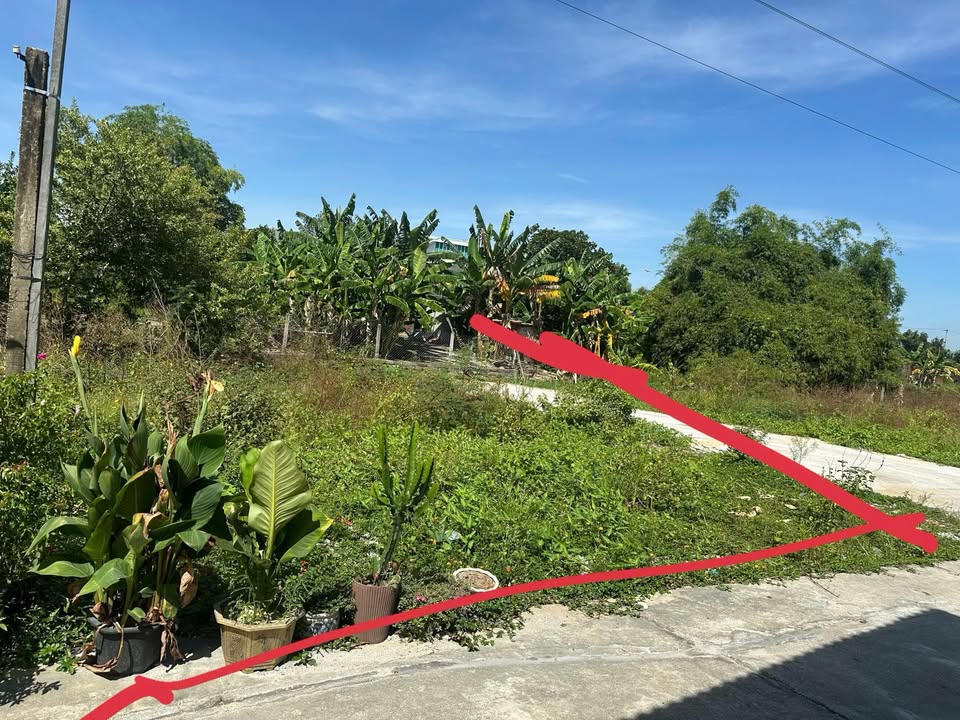 Đất 2 mặt kiệt ô tô Hòa Quý 81m² giá chỉ 2 tỷ - Cơ hội đầu tư tuyệt vời!