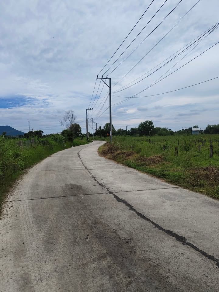 Đất cây trồng 3000m² xã Hồng Sơn, Bình Thuận chỉ 400 triệu - Giá rẻ, nhanh tay kẻo lỡ!