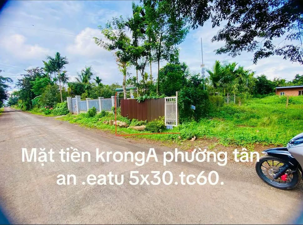 Mặt tiền kinh doanh Phường Tân An, Buôn Ma Thuột 175m² giá 1.5 tỷ - Đầu tư sinh lời ngay!