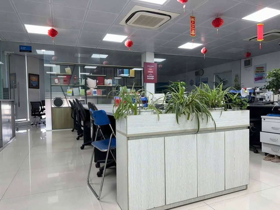 Shophouse góc Gamuda Hoàng Mai 230m² giá 80 tỷ - Dòng tiền ổn định 100 triệu/tháng!