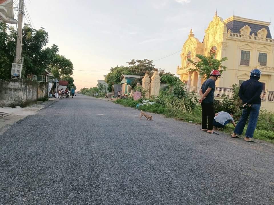 Đất nền 100m² tại xã Quỳnh Hoa, Quỳnh Phụ - Giá chỉ 1.1 tỷ!