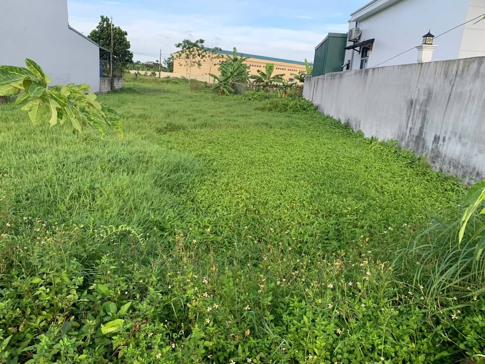 Đất nền Mỹ Lộc, Hậu Lộc 191m² - Tiện ích xung quanh, đầu tư sinh lời!