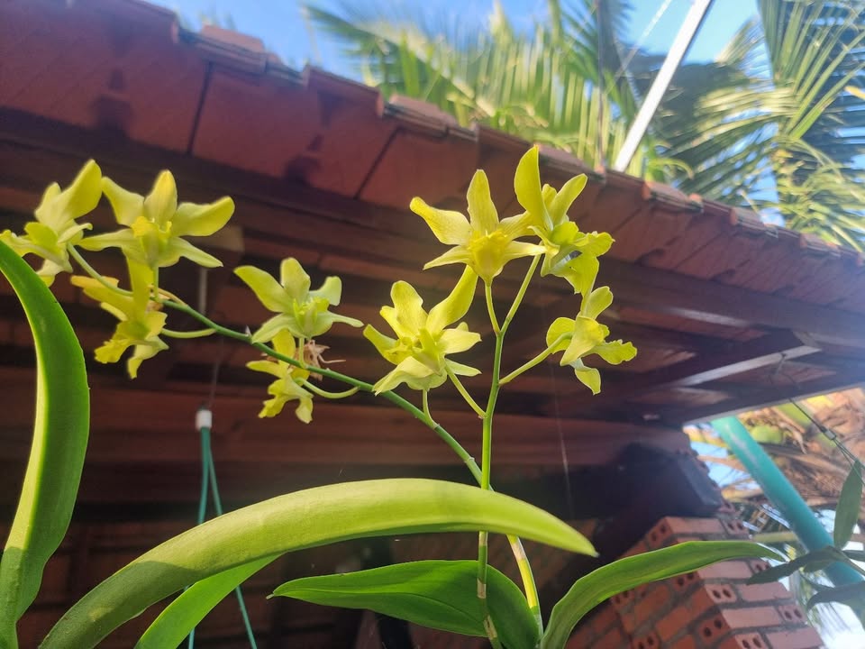 Đất thổ cư mặt tiền đường 765 Long Tân 630m² giá 1.95 tỷ - Cơ hội đầu tư tuyệt vời!