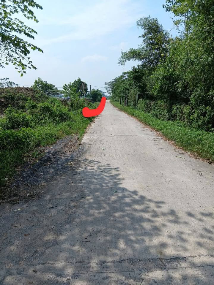 Đất thổ cư Bình Mỹ, Bình Lục 150m² giá 800 triệu - Cơ hội đầu tư hấp dẫn!