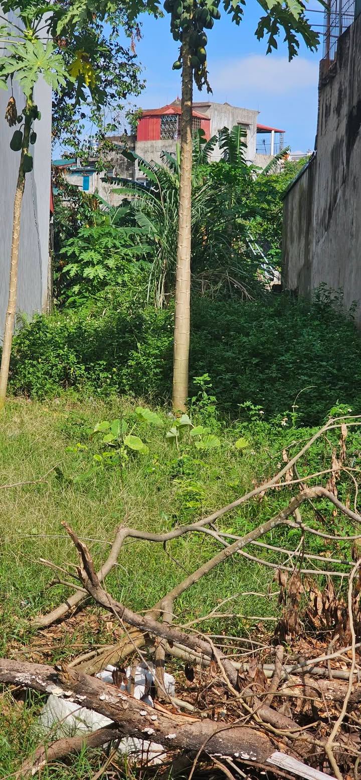 Đất nền Phường Đông Sơn 130m² giá 2 tỷ - Vị trí đắc địa tiện ích ngập tràn!