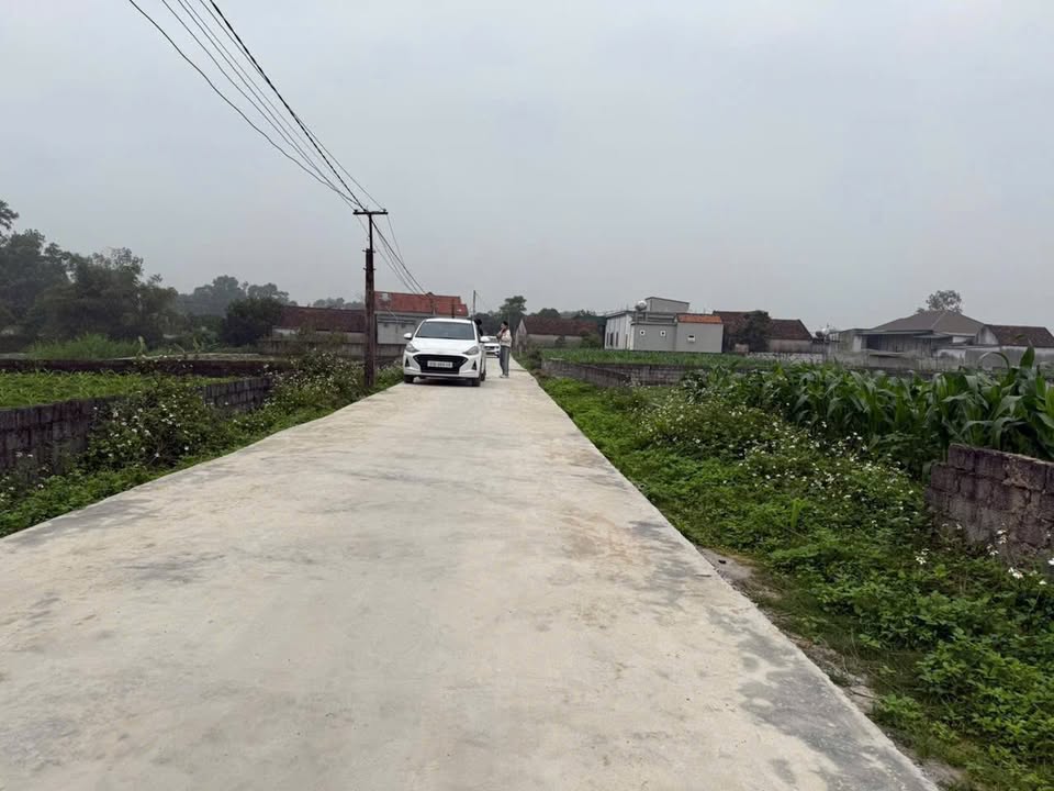 Đất nền Đại Sơn Đô Lương 220m² giá chỉ 500 triệu - Đầu tư sinh lời ngay!