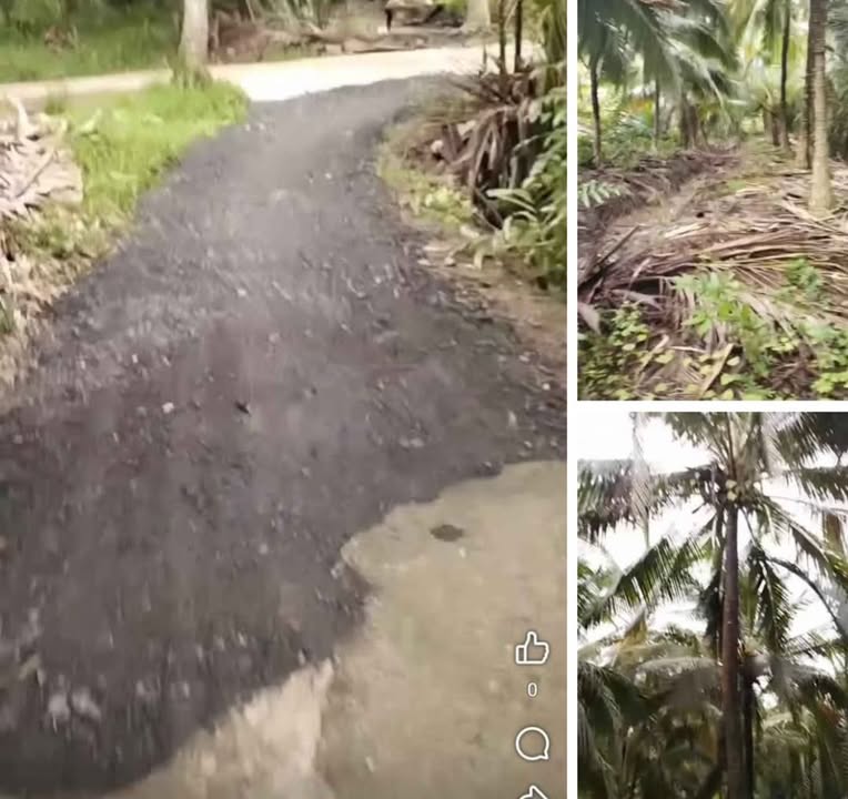 Đất nền xã Bình Hòa, huyện Giồng Trôm 1685m² giá 600.995 triệu - Đầu tư sinh lời ngay!