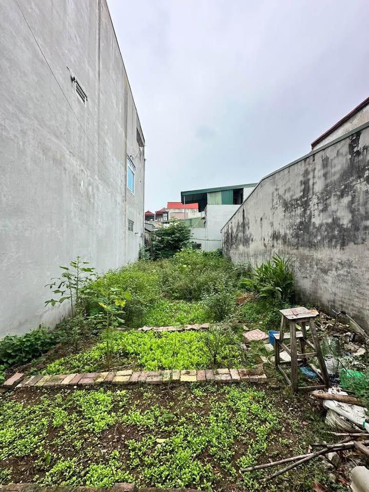 Đất nền Tân Thịnh Lương Sơn 75m² giá 2 tỷ - Vị trí đắc địa cho kinh doanh!