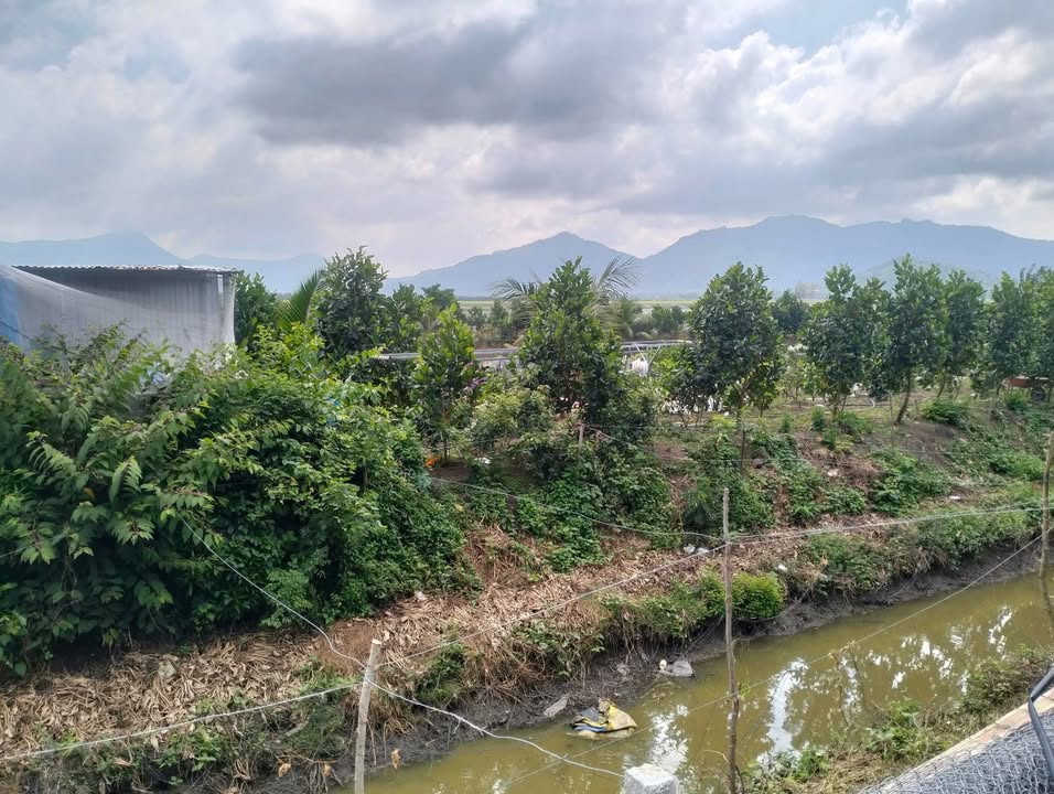 Farm 8000m² Lạc Quới, Tri Tôn giá 2.5 tỷ - Mặt tiền xe hơi