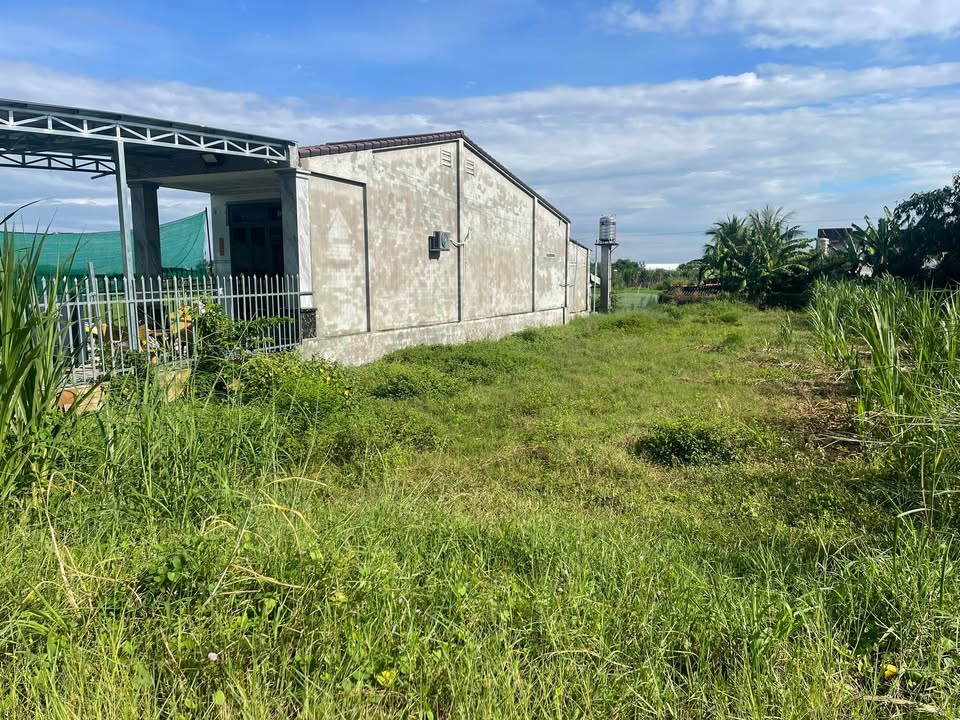 Đất nền Thạnh Tân 500m² giá 530 triệu - View núi tuyệt đẹp!