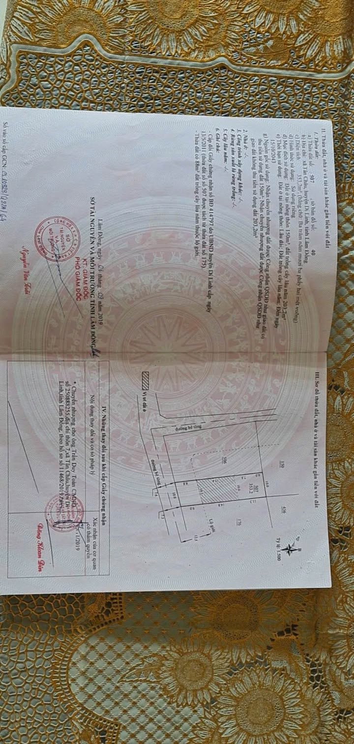 Đất nền Tân Châu, Di Linh 350m² giá 1.2 tỷ - Đường quy hoạch rộng rãi!