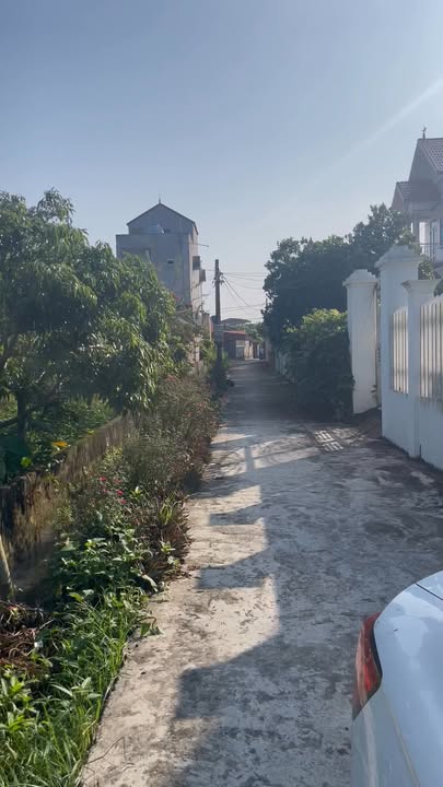 Đất thổ cư Tiên Tiến, Phù Cừ 235m² giá 800 triệu - Cơ hội đầu tư tuyệt vời!