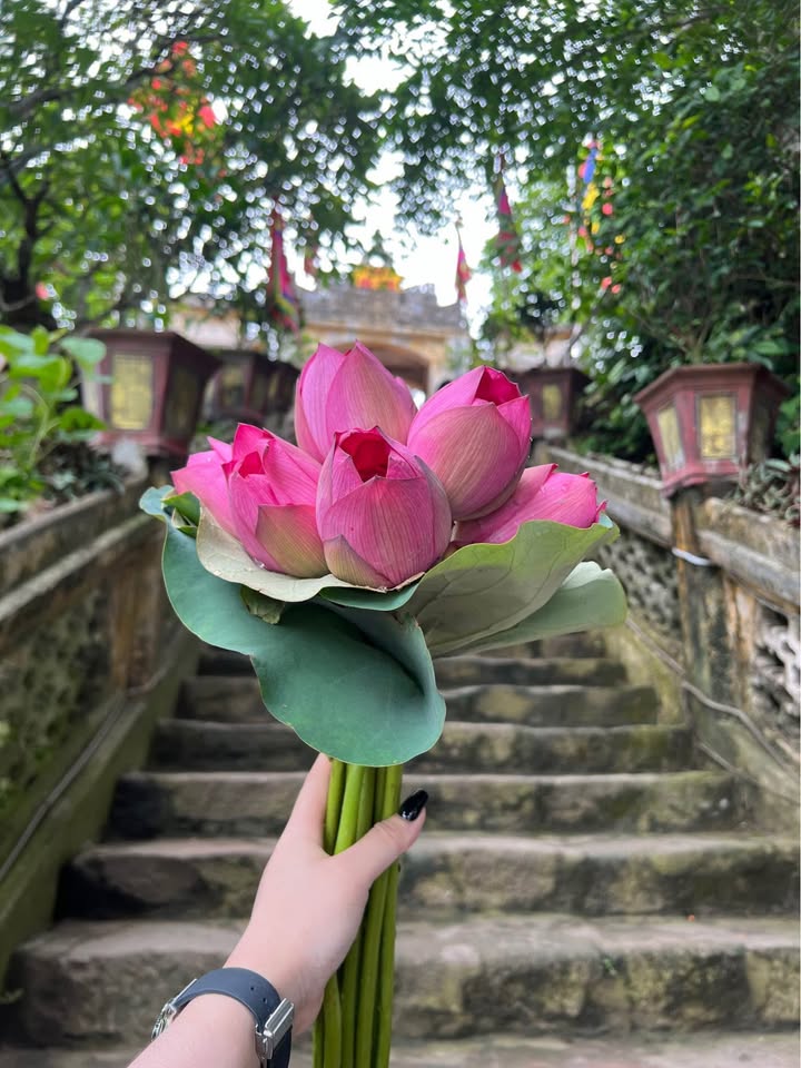 Đất nền xã Đông Hòa, huyện Đông Sơn 125m² giá 1.2 tỷ - Đầu tư sinh lời ổn định!