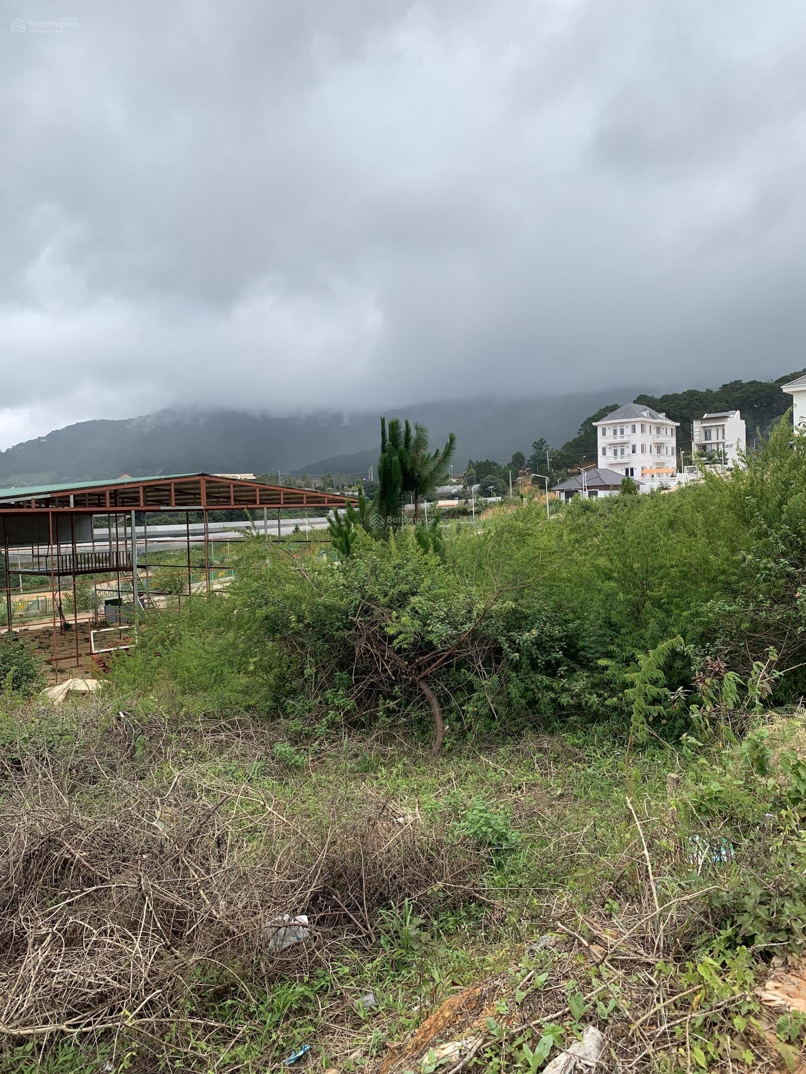 Bán nền biệt thự Langbiang Town Đà Lạt 262.5m² - View rừng thông, giá tốt!