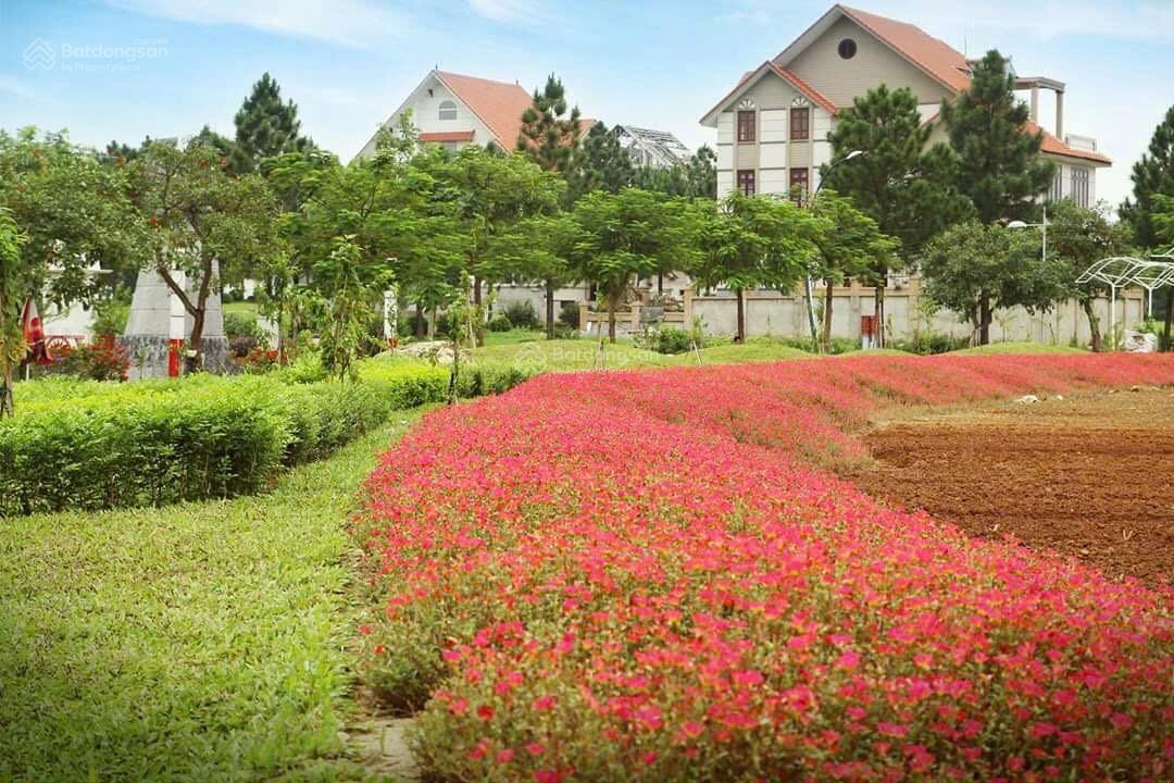 Biệt thự The Phoenix Garden Đan Phượng 200m² giá 15.8 tỷ - Không khí trong lành, tiện ích đầy đủ!