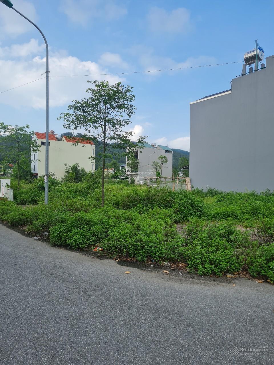 Bán đất KĐT Lạc Phú 1 - Yên Dũng, Bắc Giang 99m² giá 2,2 tỷ - Tiềm năng đầu tư cao!