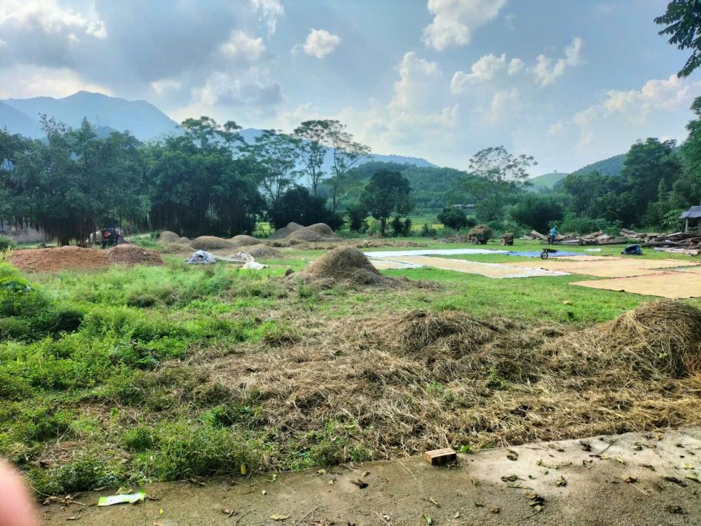 Đất thổ cư 1800m² 2 mặt tiền Kim Bôi - Giá chỉ 6.3 tỷ!