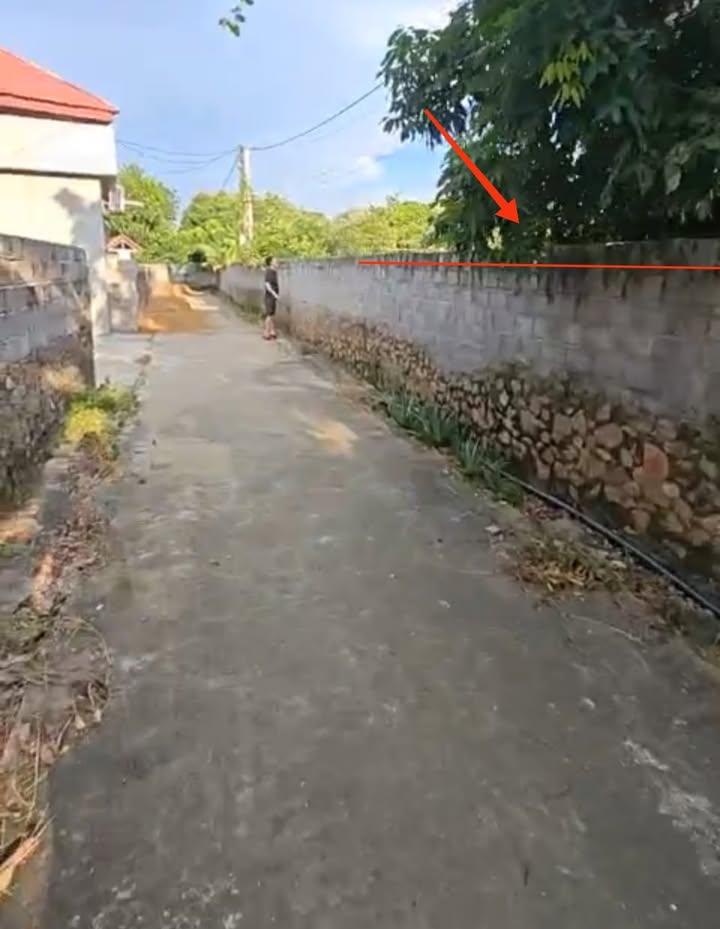 Đất Farm nghỉ dưỡng Cương Sơn Lục Nam 500m² giá chỉ 500 triệu - Cơ hội đầu tư tuyệt vời!