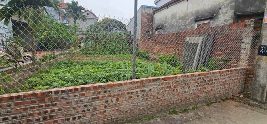 Đất thổ cư Nguyên Khê 88m² giá 6 tỷ - Tiềm năng đầu tư cực tốt!