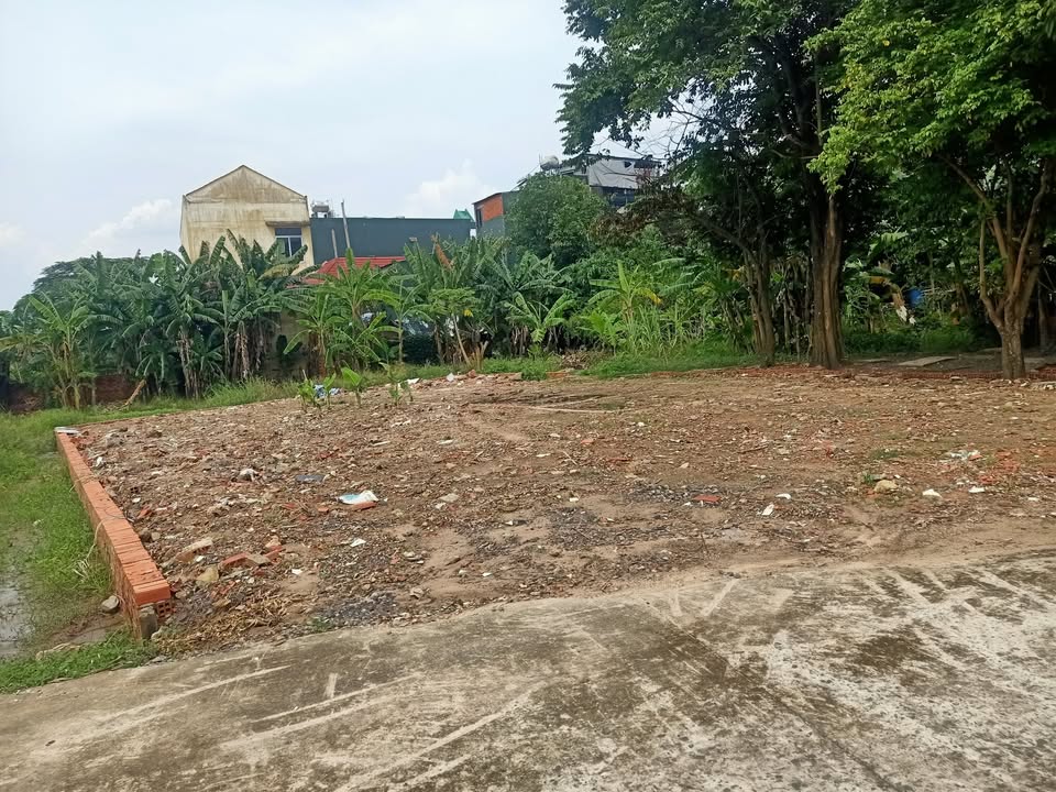 Đất mặt tiền đường nhựa Thới Tam Thôn Hóc Môn 140m² giá chỉ từ 3.5 tỷ!