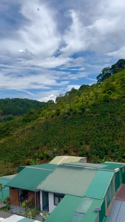 Nhà đẹp đường Đặng Thái Thân, phường Xuân Hương, Đà Lạt 64m² giá 2.9 tỷ - View rừng thông tuyệt đẹp!