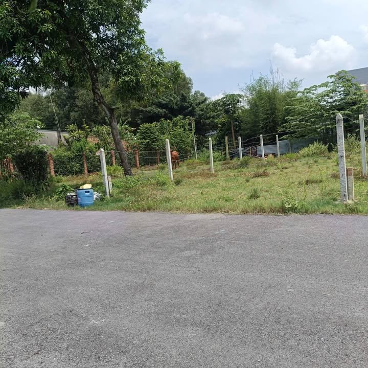 Đất thổ cư 168m² xã Tân An Hội, Củ Chi - Giá 2.1 tỷ, thương lượng!