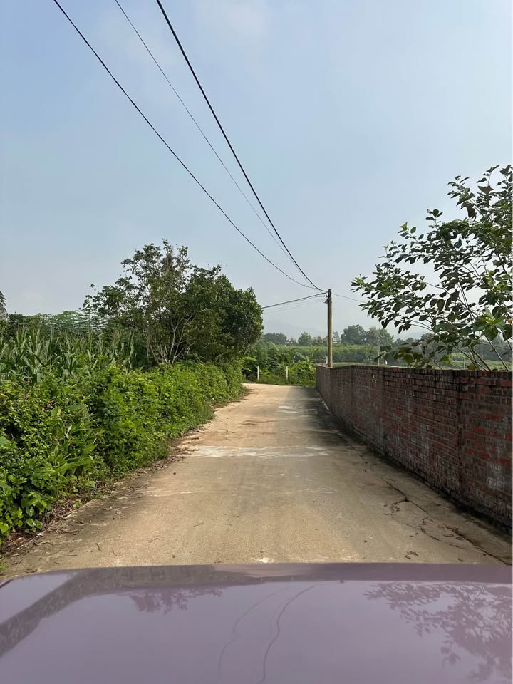 Đất nền Kim Phú Tuyên Quang 120m² giá chỉ 300 triệu - Ngõ ô tô vào tận nơi!