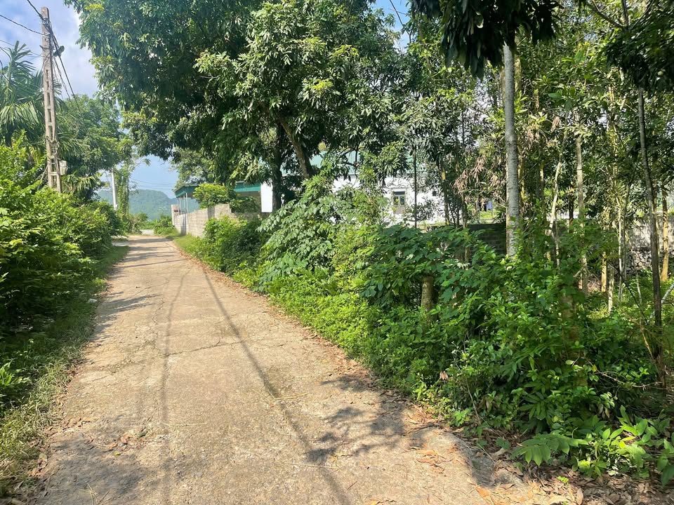 Đất nền An Bình Lạc Thủy 230m² giá 400 triệu - Đầu tư sinh lời hấp dẫn!