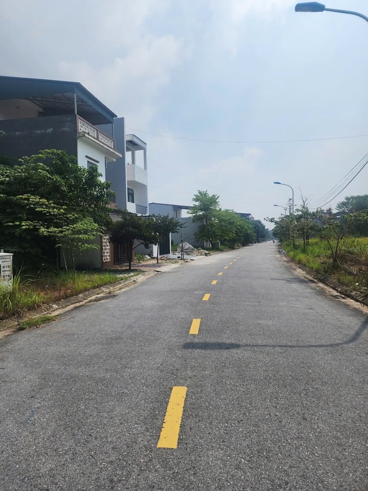 Đất nền đường Vũ Thê Lang, Việt Trì 89.8m² - Vị trí đắc địa, giá tốt!