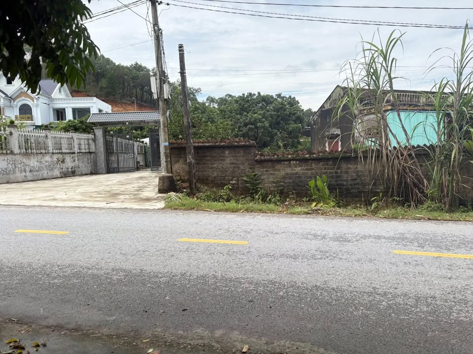 Đất nền Tân Yên 100m² giá 1 tỷ - Mặt tiền rộng kinh doanh đắc địa!