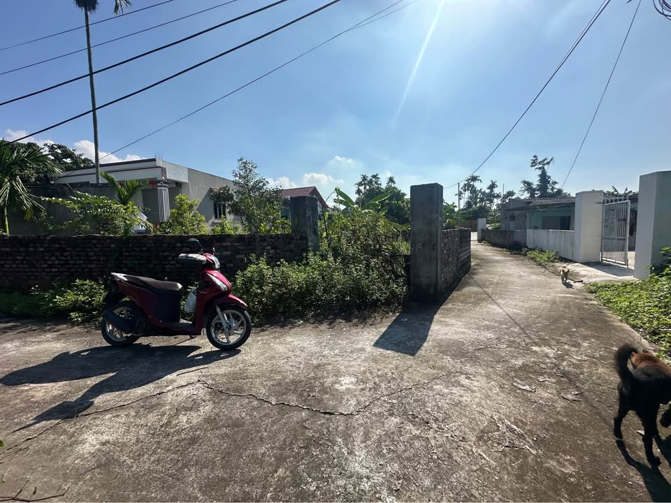 Đất 2 mặt tiền Tân Yên - Yên Phong 160m² giá tốt - Cơ hội đầu tư không thể bỏ lỡ!